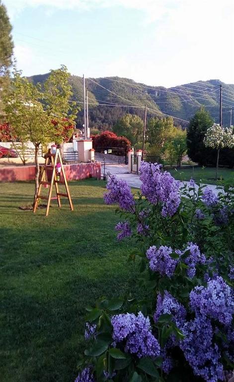 Kavala Villa 360 Degrees Green Amisianá Esterno foto